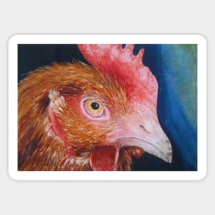 Chookie Watercolour Painting Sticker